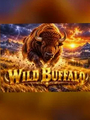 Wild Buffalo at Stay