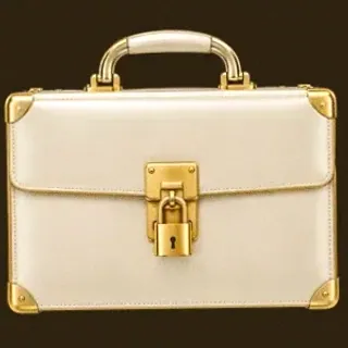 Locked leather briefcase — Stay