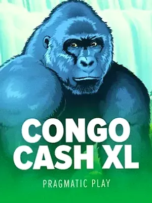 Congo Cash XL at Stay
